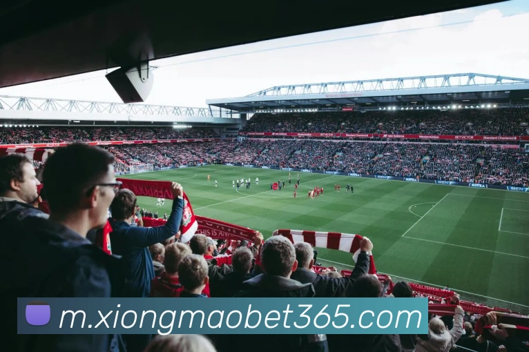 熊猫体育发展历程