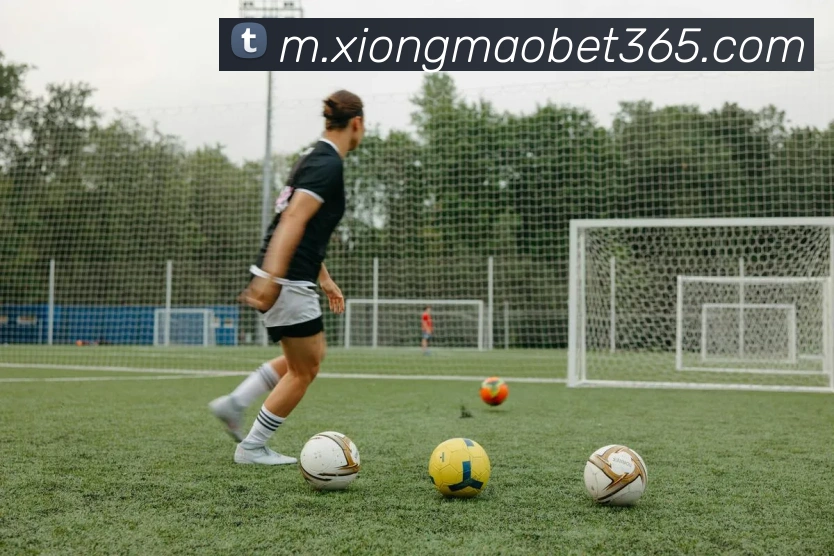 保罗与卢及助教范甘迪争执内幕揭示球队团结的重要性